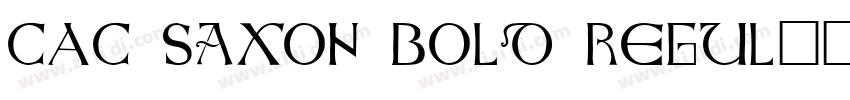 CAC Saxon Bold Regul字体转换